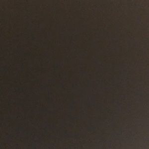 Meet your Posher, Shania